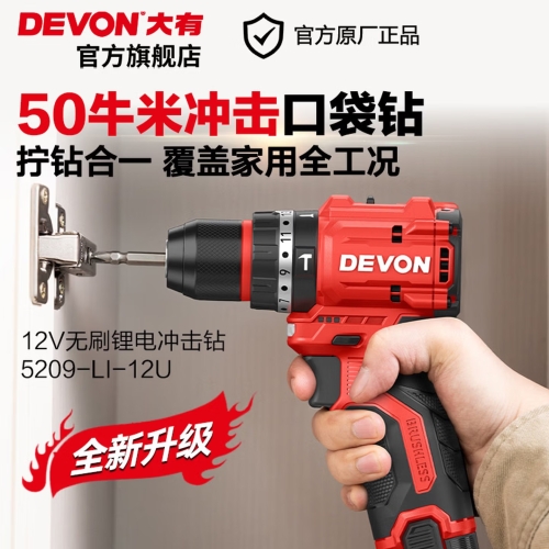 大有（Devon）京东集采JC系列12V无刷冲击手电钻电动螺丝刀电动工具5209U塑盒装
